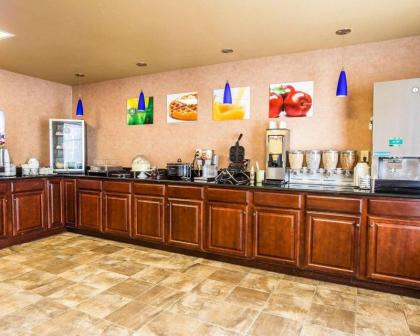 Quality Inn & Suites Airpark East - image 11
