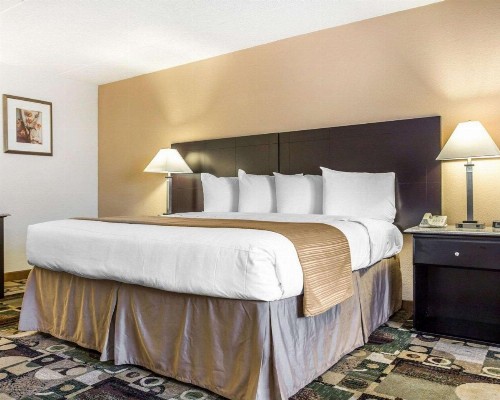 Quality Inn & Suites Coliseum - image 18
