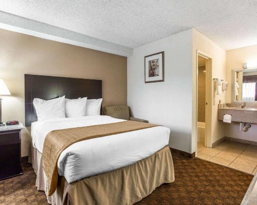 Quality Inn & Suites Coliseum - image 20