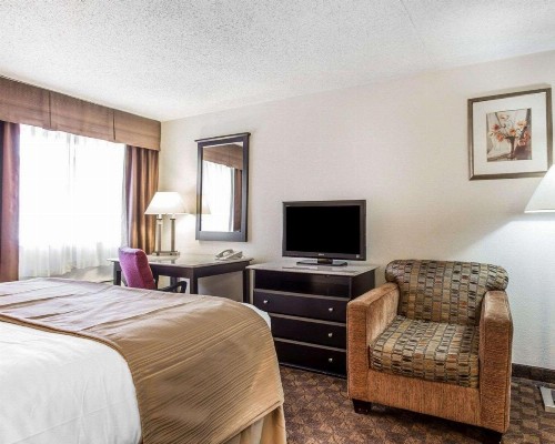 Quality Inn & Suites Coliseum - image 22