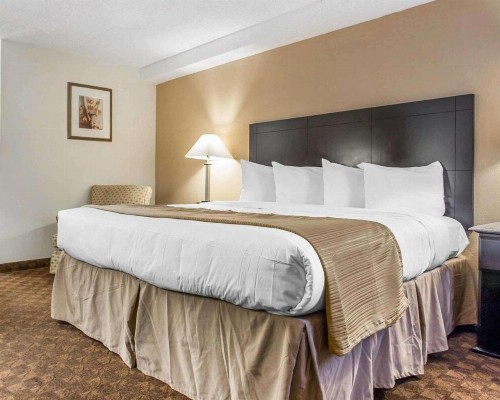 Quality Inn & Suites Coliseum - image 28