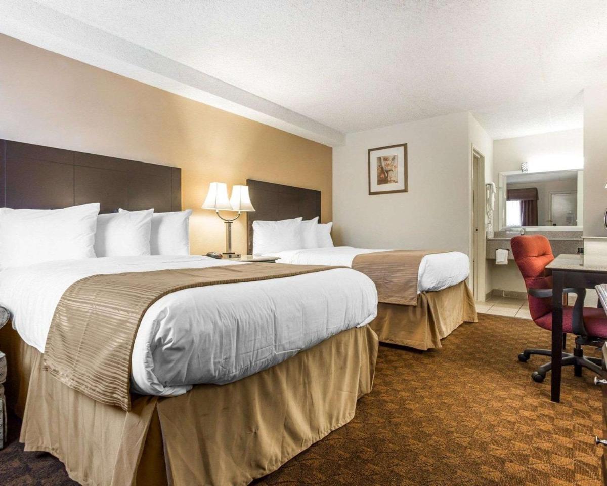Quality Inn & Suites Coliseum - image 3