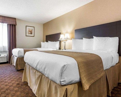 Quality Inn & Suites Coliseum - image 30
