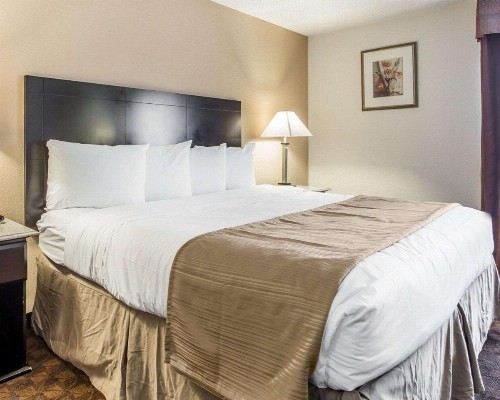 Quality Inn & Suites Coliseum - image 5