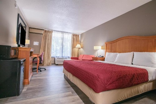 Rodeway Inn & Suites Greensboro Southeast - image 31