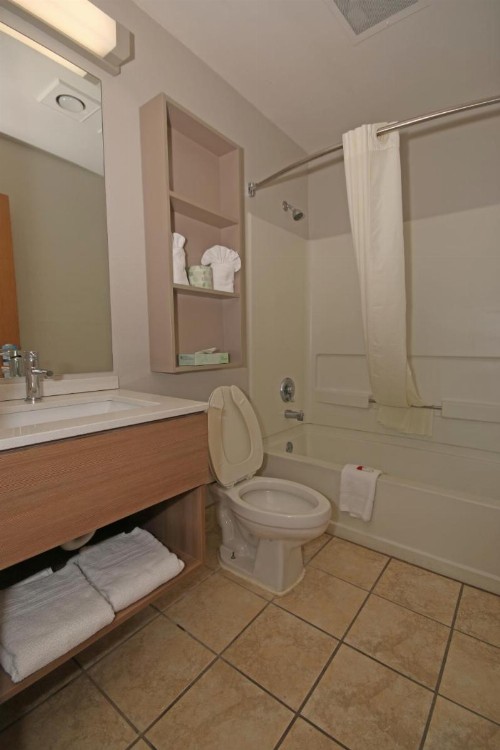 Microtel Inn by Wyndham Greensboro - image 6