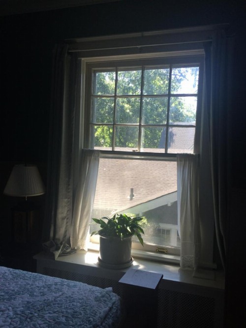 Greenwood Bed & Breakfast - image 7