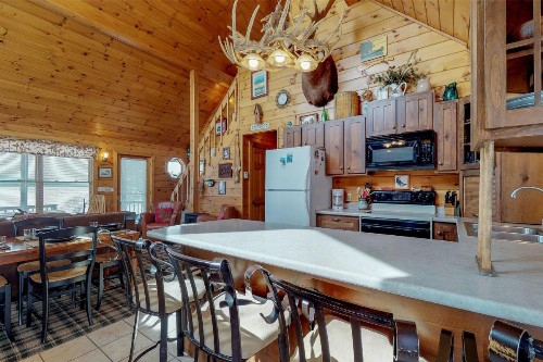 Moose Dance + Loon Song - image 6