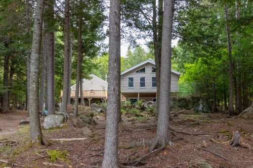 Beaver Cove Cabin