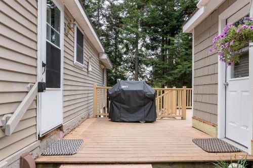 Beaver Cove Cabin - image 10