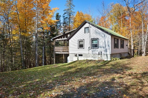 Lily's Pad - image 11