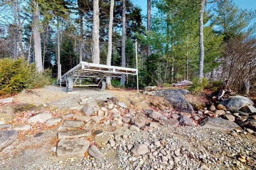 Owl's Nest - image 3