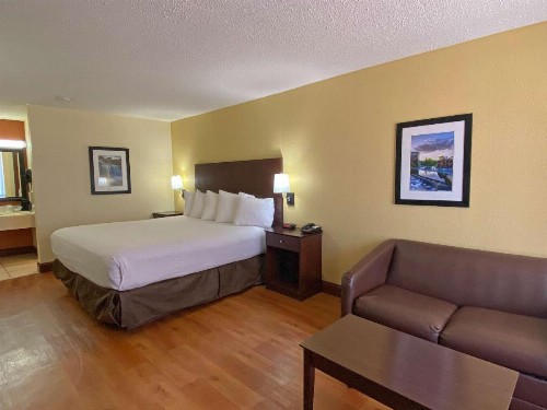 Best Western Greenville Airport - image 3
