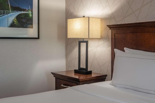 Hilton Greenville - image 10