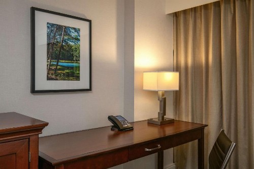 Hilton Greenville - image 8