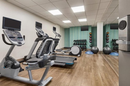 Holiday Inn Express Hotel & Suites Greenville-Downtown an IHG Hotel - image 14