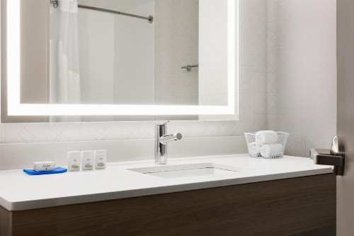 Holiday Inn Express Hotel & Suites Greenville-Downtown an IHG Hotel - image 30