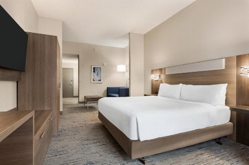 Holiday Inn Express Hotel & Suites Greenville-Downtown an IHG Hotel - image 7