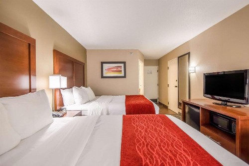 Comfort Inn Greenville - Haywood Mall - image 11