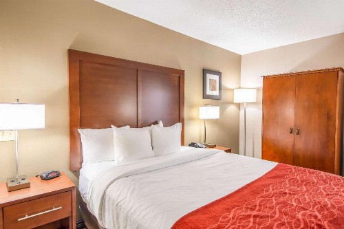 Comfort Inn Greenville - Haywood Mall - image 13