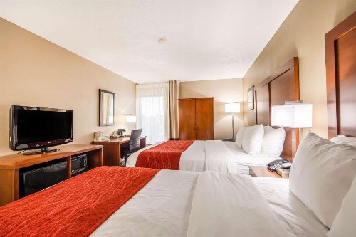 Comfort Inn Greenville - Haywood Mall - image 3