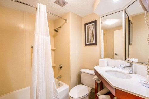 Comfort Inn Greenville - Haywood Mall - image 8