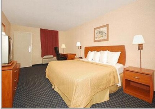 Greenville Inn & Suites - image 3