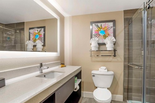 Best Western Plus Greenville I-385 Inn & Suites - image 14