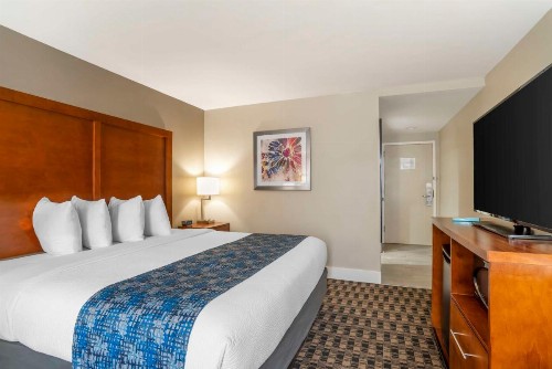 Best Western Plus Greenville I-385 Inn & Suites - image 17