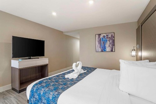 Best Western Plus Greenville I-385 Inn & Suites - image 19