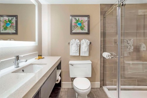 Best Western Plus Greenville I-385 Inn & Suites - image 24