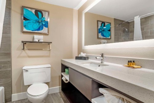 Best Western Plus Greenville I-385 Inn & Suites - image 25