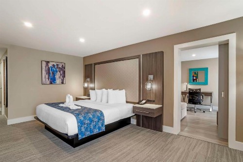 Best Western Plus Greenville I-385 Inn & Suites - image 34