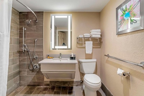 Best Western Plus Greenville I-385 Inn & Suites - image 4