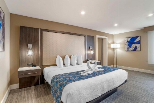 Best Western Plus Greenville I-385 Inn & Suites - image 43