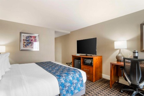 Best Western Plus Greenville I-385 Inn & Suites - image 44