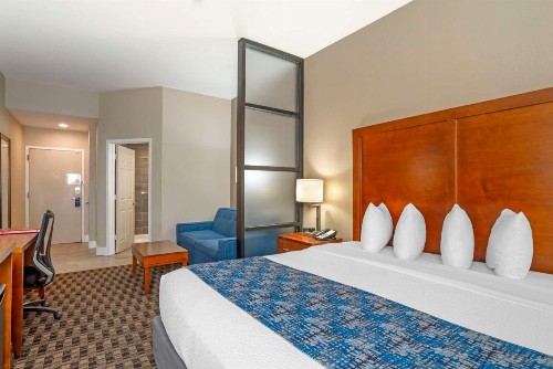 Best Western Plus Greenville I-385 Inn & Suites - image 7