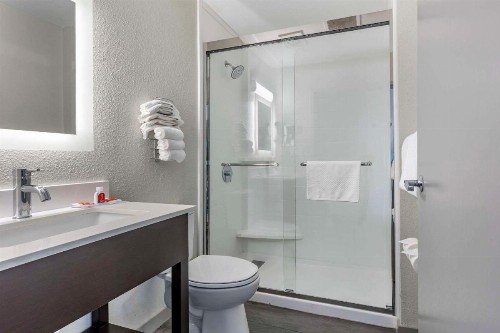Econo Lodge Inn and Suites Greenville - image 10