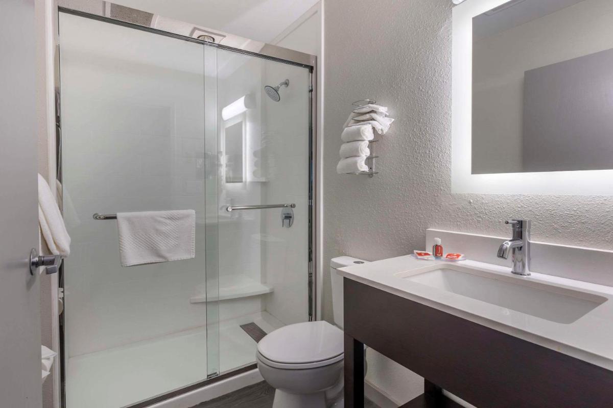 Econo Lodge Inn and Suites Greenville - image 2