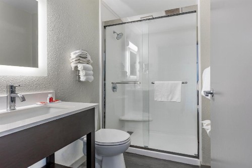 Econo Lodge Inn and Suites Greenville - image 7