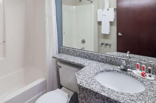 Microtel Inn & Suites - Greenville - image 10
