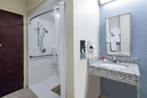 Microtel Inn & Suites - Greenville - image 12