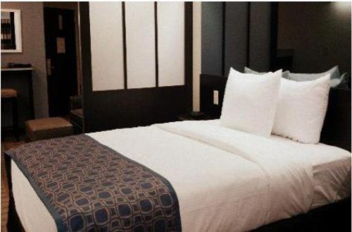 Microtel Inn & Suites - Greenville - image 26