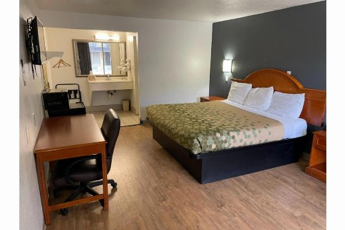 Econo Lodge - image 29