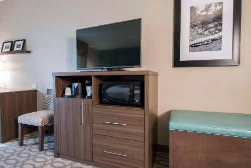 Hampton Inn Greenville/I-385 Haywood Mall SC - image 18