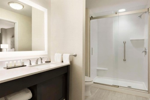 Embassy Suites by Hilton Greenville Downtown Riverplace - image 7