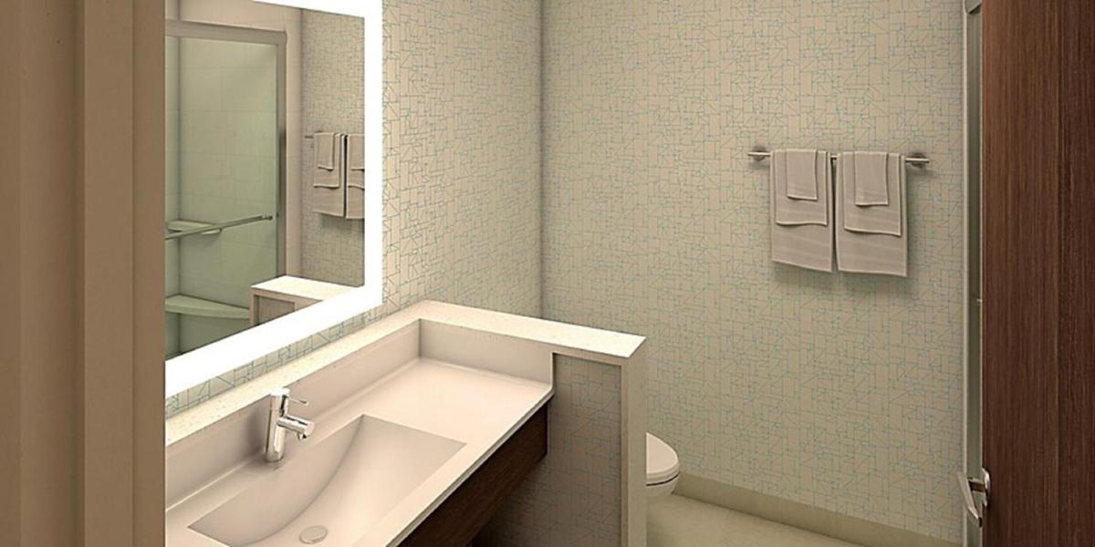 Holiday Inn Express & Suites - Greenville - Taylors an IHG Hotel - image 7