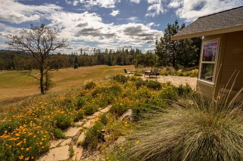 Red Tail Ranch - image 2