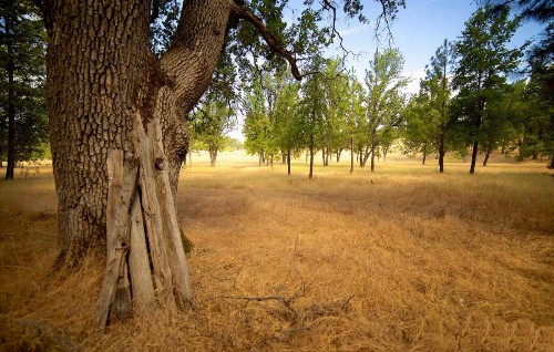 Red Tail Ranch - image 29