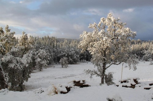 Red Tail Ranch - image 4